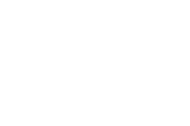 OfficialSelection-RaleighFilmArtFestival-THEBESTTALENTOF2025