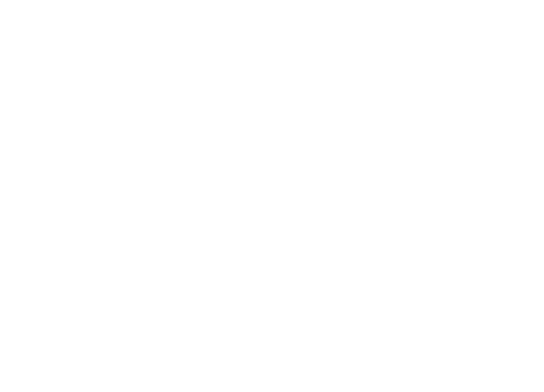 SSFF
